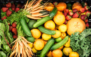 metabolic tryping could be the key to your health and welbeing