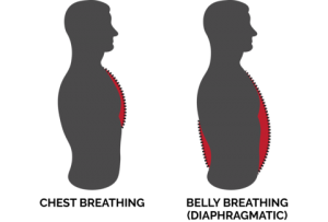 Chest and Blly Breathing Photo
