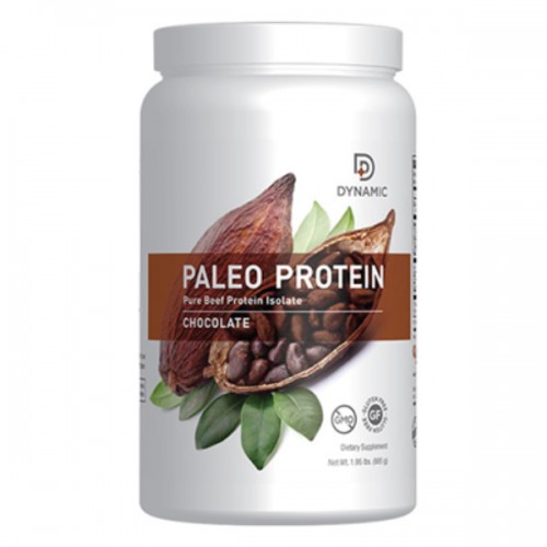 Dynamic Paleo Protein - Chocolate